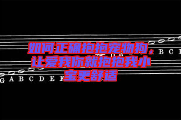 如何正確抱抱寵物狗，讓愛(ài)我你就抱抱我小寶更舒適