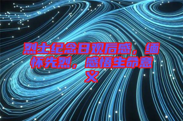 烈士紀念日觀后感，緬懷先烈，感悟生命意義