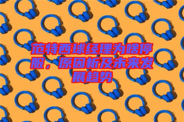 范特西球經(jīng)理為啥停服，原因析及未來發(fā)展趨勢