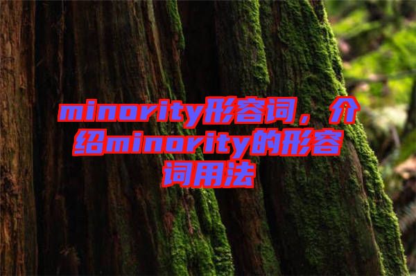 minority形容詞，介紹minority的形容詞用法