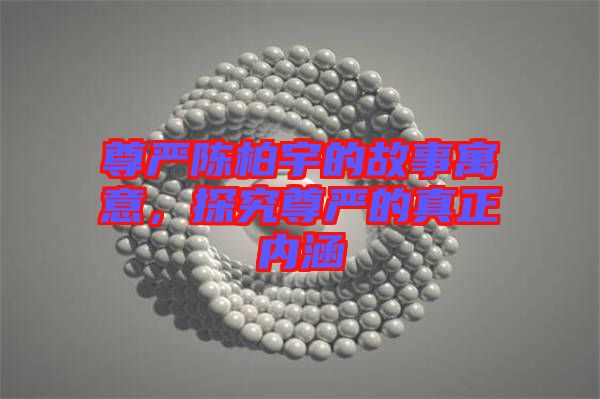 尊嚴(yán)陳柏宇的故事寓意，探究尊嚴(yán)的真正內(nèi)涵