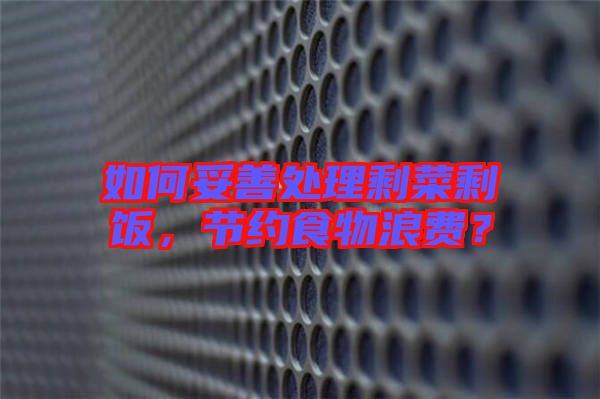 如何妥善處理剩菜剩飯，節(jié)約食物浪費(fèi)？