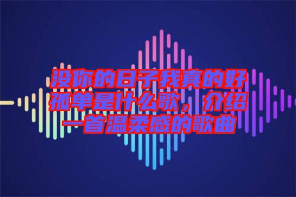 沒你的日子我真的好孤單是什么歌，介紹一首溫柔感的歌曲