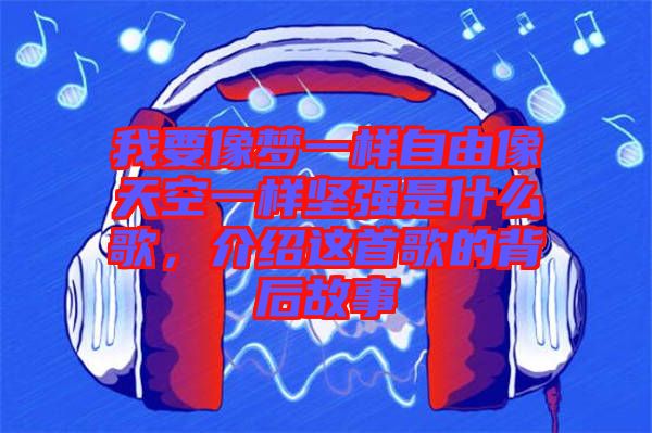 我要像夢一樣自由像天空一樣堅強是什么歌，介紹這首歌的背后故事