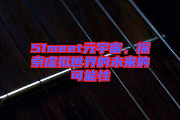 51meet元宇宙，探索虛擬世界的未來的可能性