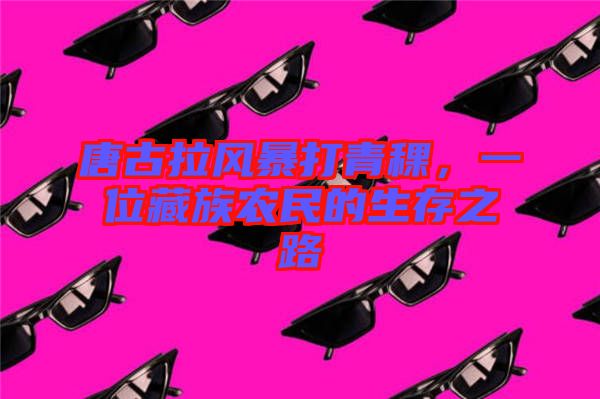 唐古拉風(fēng)暴打青稞，一位藏族農(nóng)民的生存之路