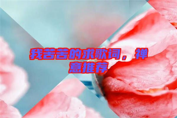我苦苦的求歌詞，禪意推薦
