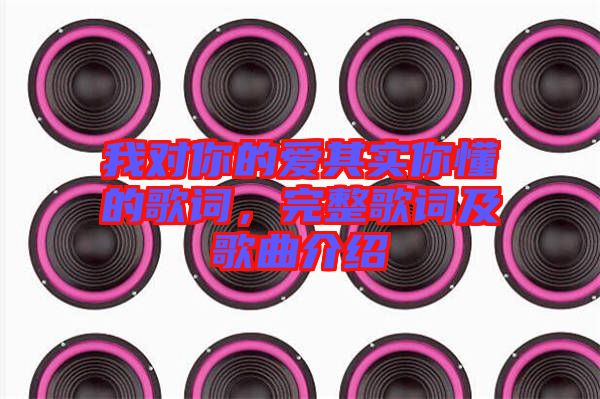 我對(duì)你的愛(ài)其實(shí)你懂的歌詞，完整歌詞及歌曲介紹