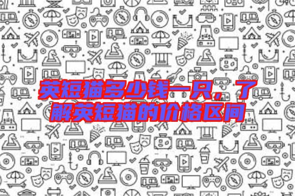 英短貓多少錢一只，了解英短貓的價(jià)格區(qū)間