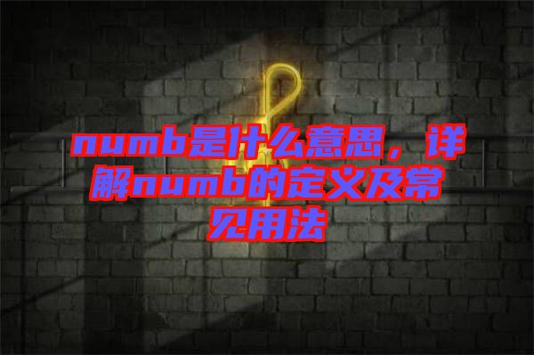 numb是什么意思，詳解numb的定義及常見(jiàn)用法