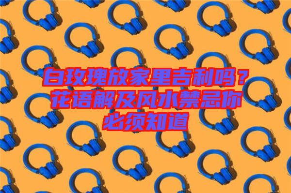 白玫瑰放家里吉利嗎？花語解及風(fēng)水禁忌你必須知道