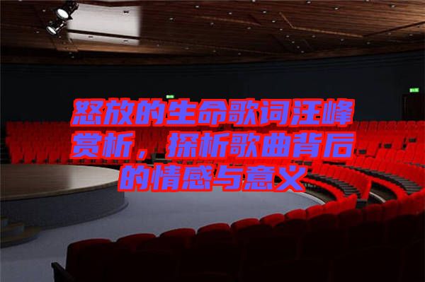怒放的生命歌詞汪峰賞析，探析歌曲背后的情感與意義