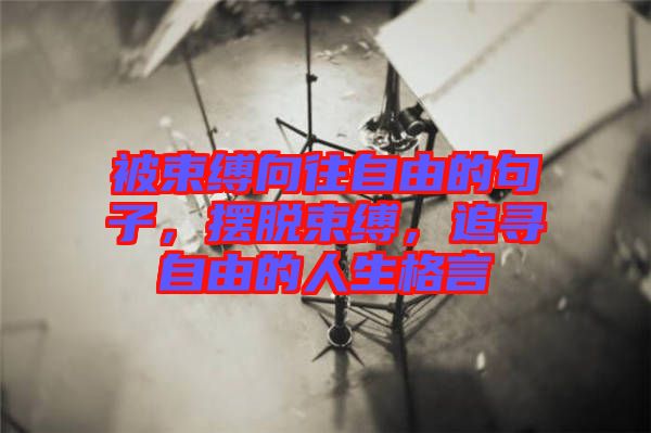 被束縛向往自由的句子，擺脫束縛，追尋自由的人生格言
