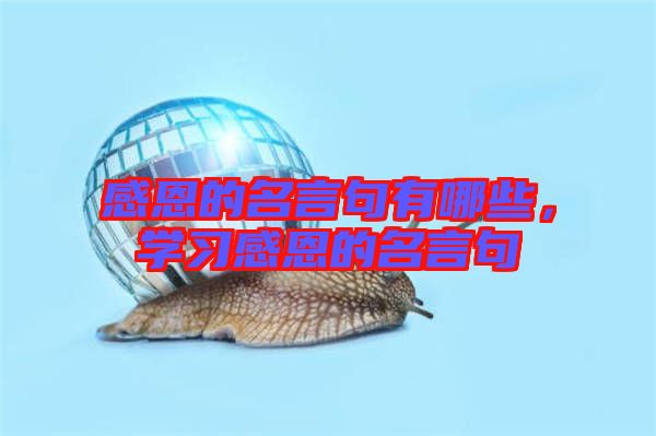 感恩的名言句有哪些，學(xué)習(xí)感恩的名言句