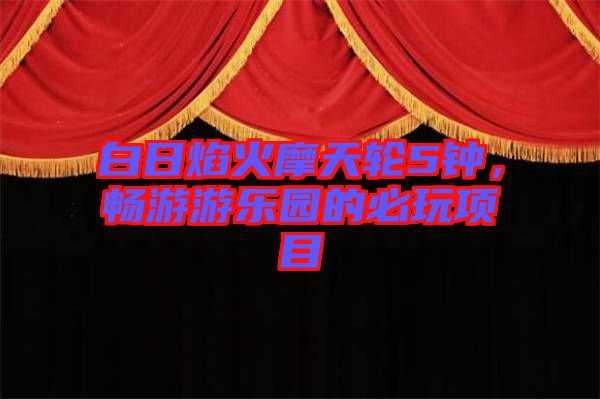 白日焰火摩天輪5鐘，暢游游樂園的必玩項(xiàng)目