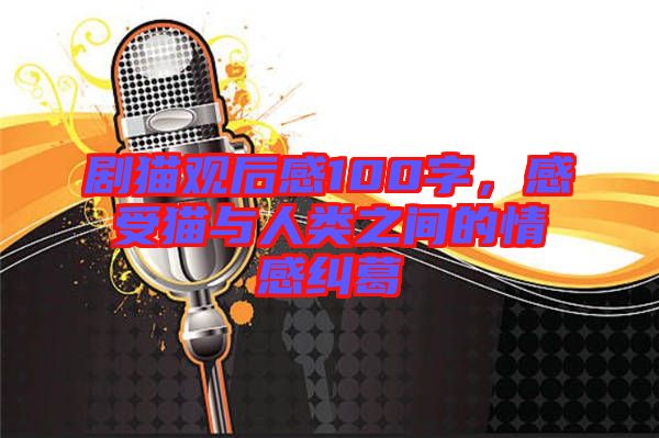 劇貓觀后感100字，感受貓與人類之間的情感糾葛