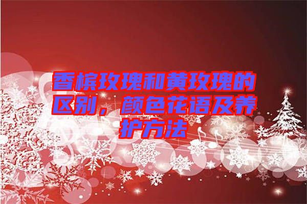 香檳玫瑰和黃玫瑰的區(qū)別，顏色花語及養(yǎng)護方法