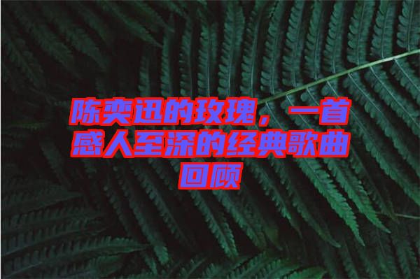 陳奕迅的玫瑰，一首感人至深的經(jīng)典歌曲回顧