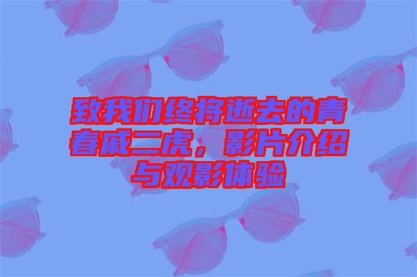 致我們終將逝去的青春戚二虎，影片介紹與觀影體驗