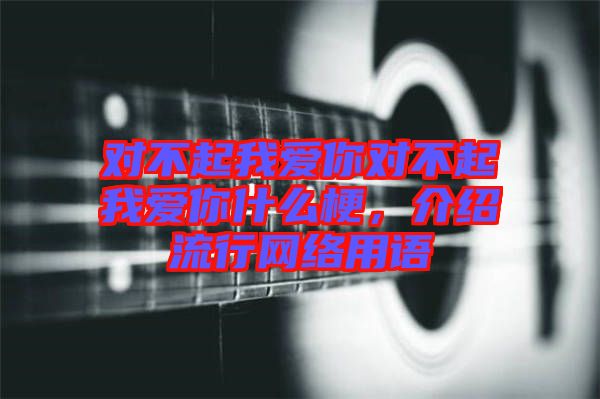 對(duì)不起我愛(ài)你對(duì)不起我愛(ài)你什么梗，介紹流行網(wǎng)絡(luò)用語(yǔ)
