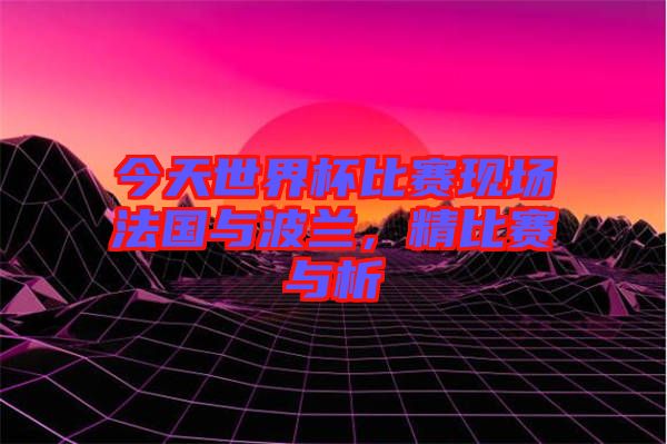 今天世界杯比賽現(xiàn)場法國與波蘭，精比賽與析