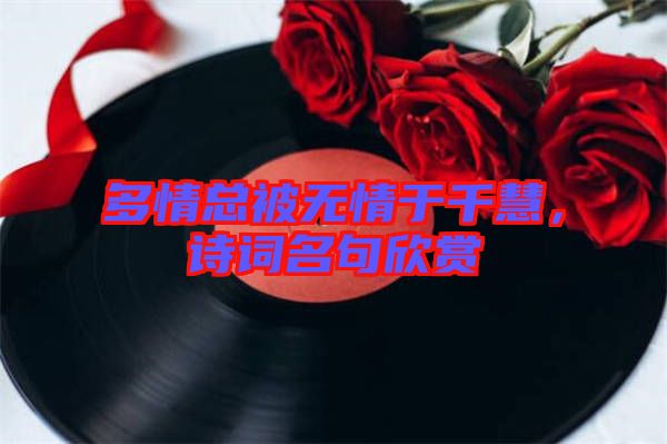 多情總被無(wú)情于千慧，詩(shī)詞名句欣賞