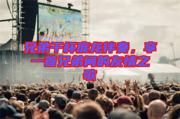 兄弟干杯龐龍伴奏，享一首兄弟間的友情之歌