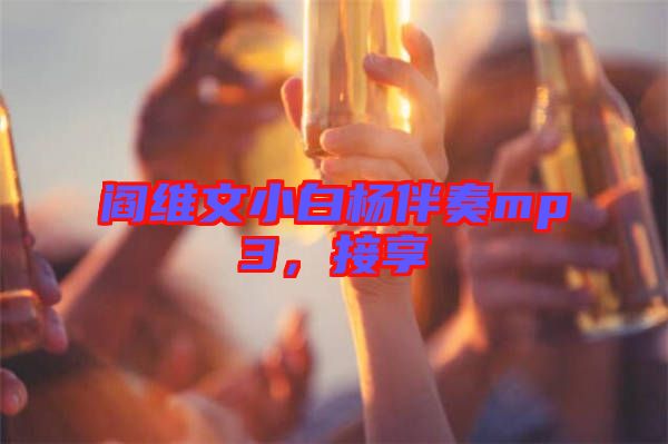 閻維文小白楊伴奏mp3，接享