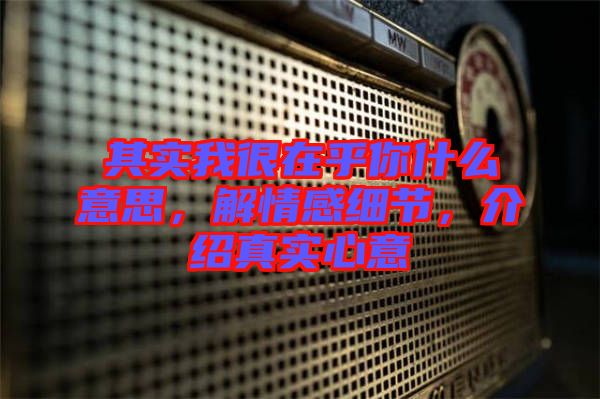 其實(shí)我很在乎你什么意思，解情感細(xì)節(jié)，介紹真實(shí)心意