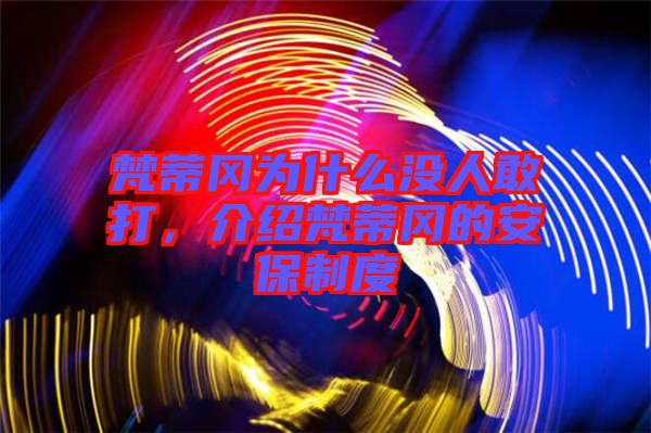 梵蒂岡為什么沒人敢打，介紹梵蒂岡的安保制度