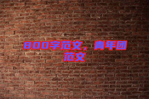 800字范文，青年團(tuán)范文