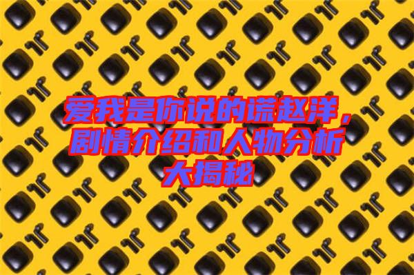 愛我是你說的謊趙洋，劇情介紹和人物分析大揭秘