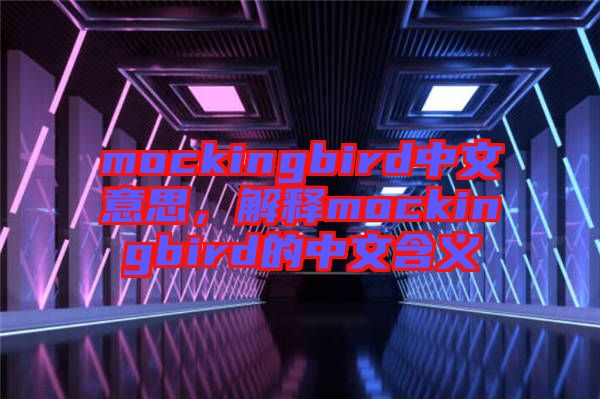 mockingbird中文意思，解釋mockingbird的中文含義