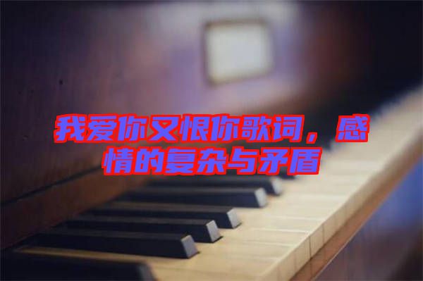 我愛你又恨你歌詞，感情的復(fù)雜與矛盾