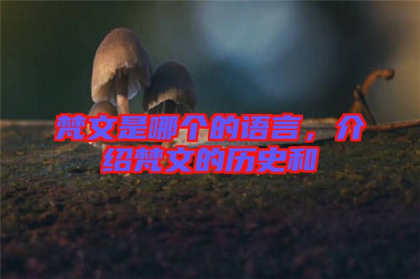梵文是哪個的語言，介紹梵文的歷史和