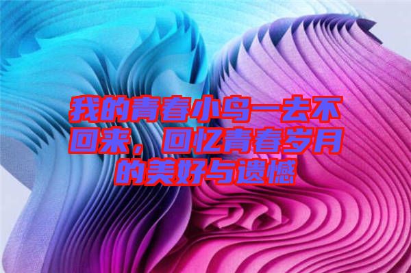 我的青春小鳥一去不回來，回憶青春歲月的美好與遺憾