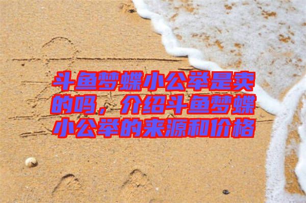 斗魚夢蝶小公舉是賣的嗎，介紹斗魚夢蝶小公舉的來源和價格