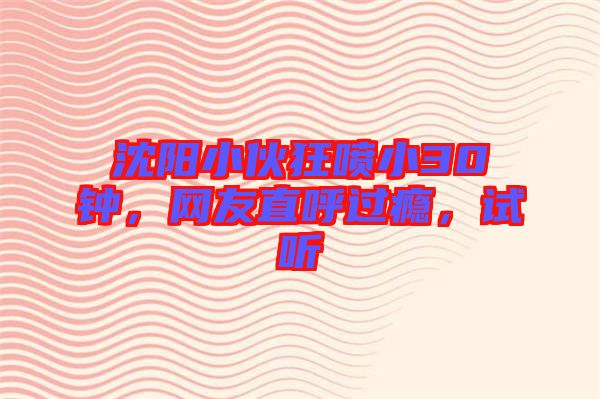 沈陽小伙狂噴小30鐘，網(wǎng)友直呼過癮，試聽