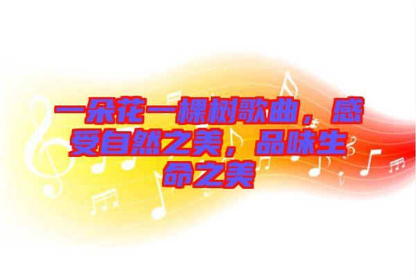 一朵花一棵樹歌曲，感受自然之美，品味生命之美