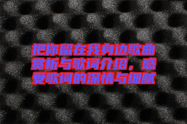 把你留在我身邊歌曲賞析與歌詞介紹，感受歌詞的深情與細(xì)膩