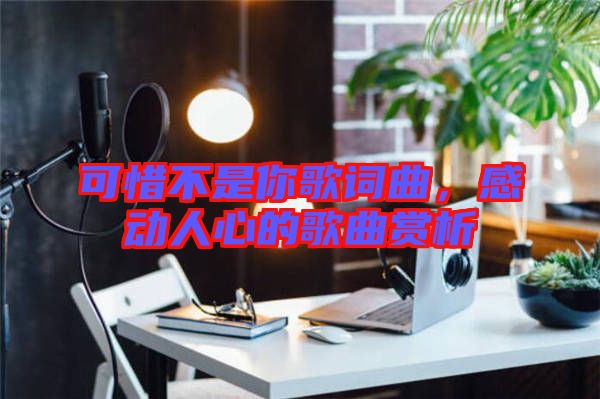 可惜不是你歌詞曲，感動人心的歌曲賞析