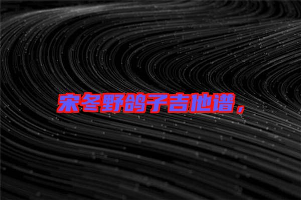 宋冬野鴿子吉他譜，