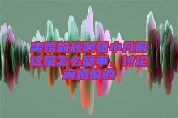離婚前規(guī)則張小凡很這是怎么回事，討論離婚前的