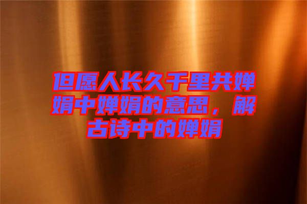 但愿人長(zhǎng)久千里共嬋娟中嬋娟的意思，解古詩中的嬋娟