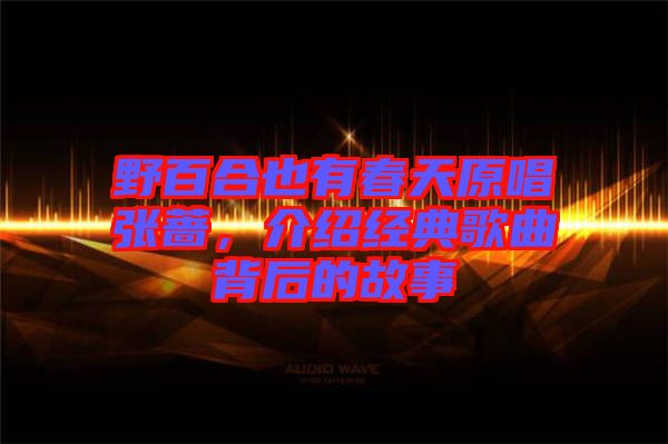 野百合也有春天原唱張薔，介紹經(jīng)典歌曲背后的故事