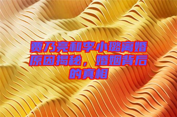 賈乃亮和李小璐離婚原因揭秘，婚姻背后的真相