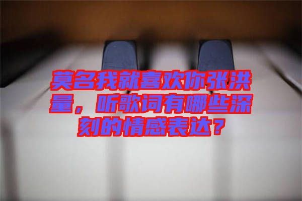 莫名我就喜歡你張洪量，聽(tīng)歌詞有哪些深刻的情感表達(dá)？