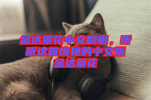 金達(dá)萊花中文翻唱，聽聽這首驚艷的中文版金達(dá)萊花