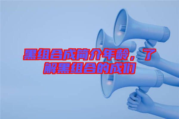 黑組合成簡(jiǎn)介年齡，了解黑組合的成們