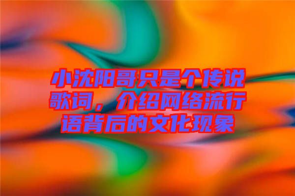 小沈陽哥只是個傳說歌詞，介紹網(wǎng)絡(luò)流行語背后的文化現(xiàn)象